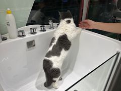 -FAELING PETS美天灵宠物(合生汇店)
