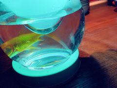-Joy酒隐(西湖店)