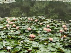 -杭州植物园
