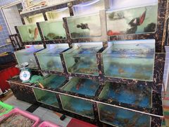 -众味海鲜大排档·活海鲜·潮汕味(南澳店)