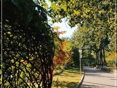 -莲花池公园