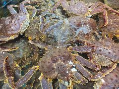 -79号渔船海鲜饭店(宝安店)