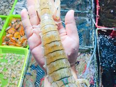 皮皮虾-霞涌市场海鲜摆卖区