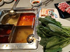 -海底捞火锅(苏宁生活广场店)