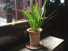 -东山雕花楼