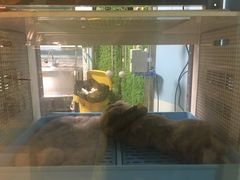 -雨林宠物医院 非犬猫异宠专科