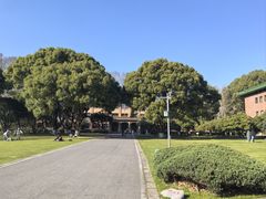 -紫金山山顶公园