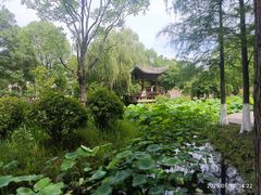 -武汉园博园(武汉自然博物馆)