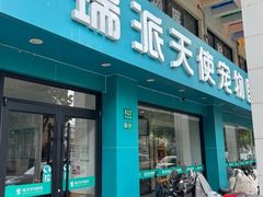 -瑞派天使宠物医院·神经外科·骨科·核磁CT(洛川中路店)