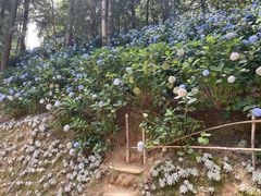 -寂照庵