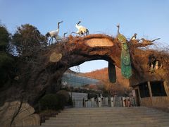 -石老人观光园