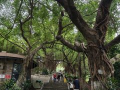 -胡里山炮台