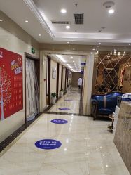 -碧莲盛·不剃发植发