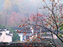 -塔川景区