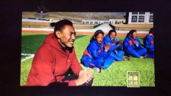 -大象造型