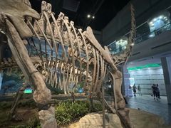 -自贡恐龙博物馆