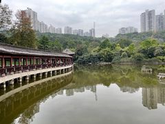 -龙头寺公园