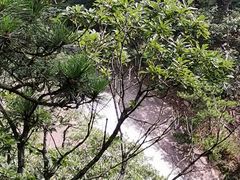 -天柱山风景区