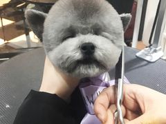 -Oh My Dog宠物沙龙(伊珊娜皮毛护理店)