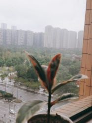 -大美母婴月子中心(馨乐庭店)