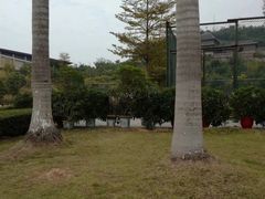 -李宁体育园