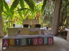 -大象粑粑造纸公园