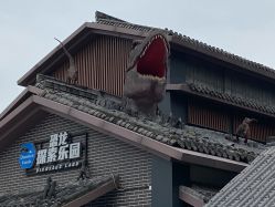 点击看大图 -恐龙探索乐园(磁器口店)