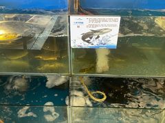 -粗粮人家·东北菜(洋桥店)