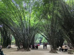 -望江楼公园
