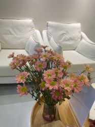 -JNK皮肤管理中心