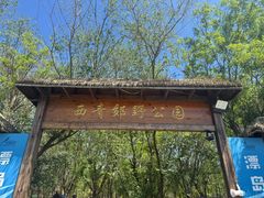 -西青郊野公园