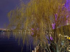 -杜甫江阁
