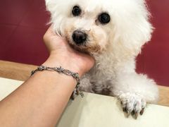-和它·交个朋友·狗咖猫咖(爱琴海店)