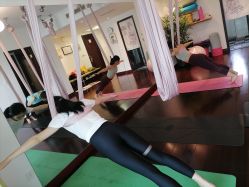 -Yvon yoga 瑜伽·精准体态管理中心