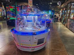 -卡通尼·Safari非洲探索乐园·生日会(金桥国际商业广场店)