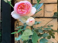 -T-COFFEE(长江花园店)