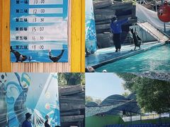 -荆州中山公园动物园