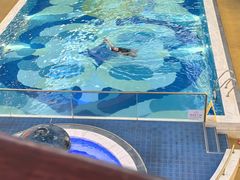 -海韵之星邮轮水会(明发商业广场店)