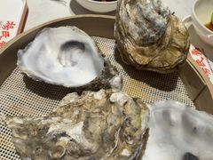 -杨氏青龙虾·羊蝎子(托乐嘉店)