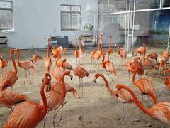 -秦皇岛野生动物园