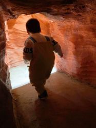 -酷嗒动物文化乐园(cutezoo西溪乐天城店)