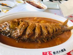 红烧黄河大鲤鱼-阿五黄河大鲤鱼(海尚店)