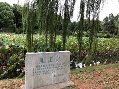 景点-南唐二陵