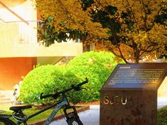 -上海交通大学(闵行校区)