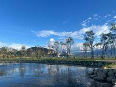 -洱海月湿地公园