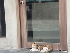 -Again Coffee Roaster(香蜜湖店)