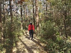 -西湖风景区-江洋畈生态公园