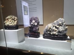 -抱璞文化展示中心