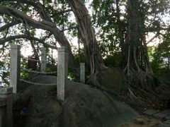 -乌山风景区