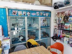 -萌兽医馆·宠物医院·猫骨科(创景店)